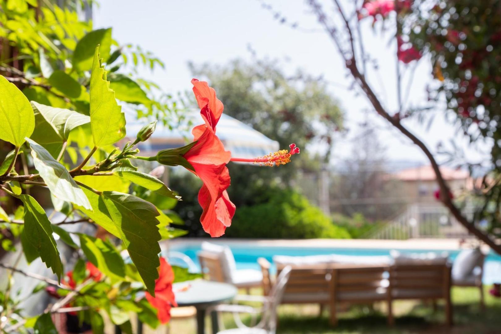 Charming House With Private Tennis Court And Pool Villa Catadau